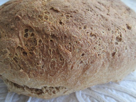 Pane con farina di Tumminia